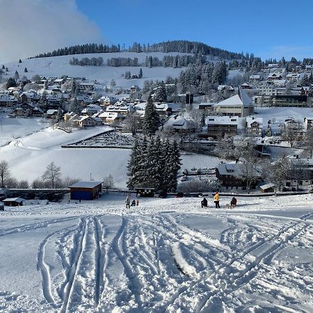 Haus Am Sonnenberg,Todtnauberg, Ferienwohnung 002, Direkt Am Skilift-Skipiste, Naehe Feldberg Екстериор снимка