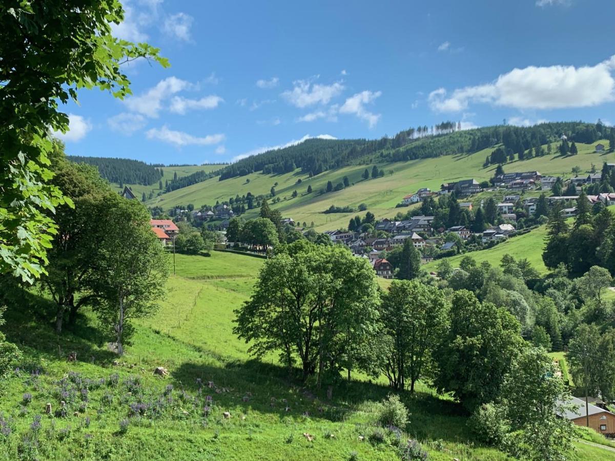 Haus Am Sonnenberg,Todtnauberg, Ferienwohnung 002, Direkt Am Skilift-Skipiste, Naehe Feldberg Екстериор снимка