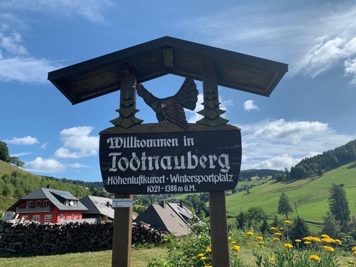 Haus Am Sonnenberg,Todtnauberg, Ferienwohnung 002, Direkt Am Skilift-Skipiste, Naehe Feldberg Екстериор снимка