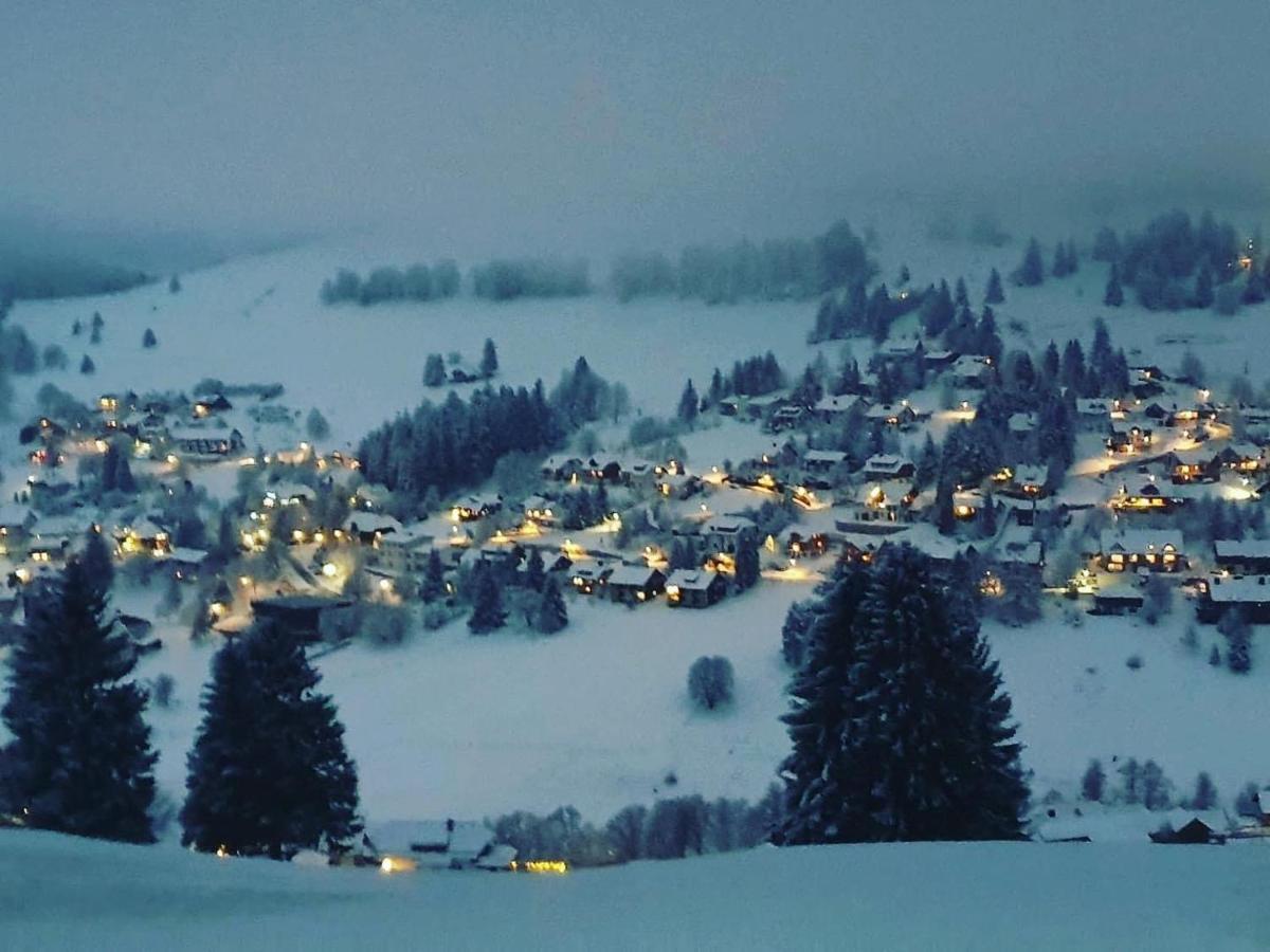 Haus Am Sonnenberg,Todtnauberg, Ferienwohnung 002, Direkt Am Skilift-Skipiste, Naehe Feldberg Екстериор снимка