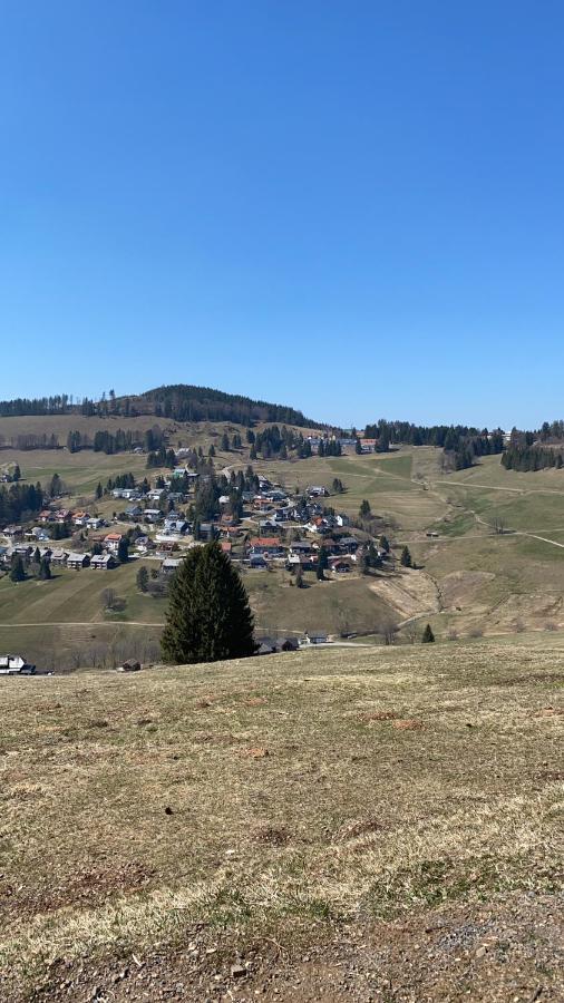 Haus Am Sonnenberg,Todtnauberg, Ferienwohnung 002, Direkt Am Skilift-Skipiste, Naehe Feldberg Екстериор снимка