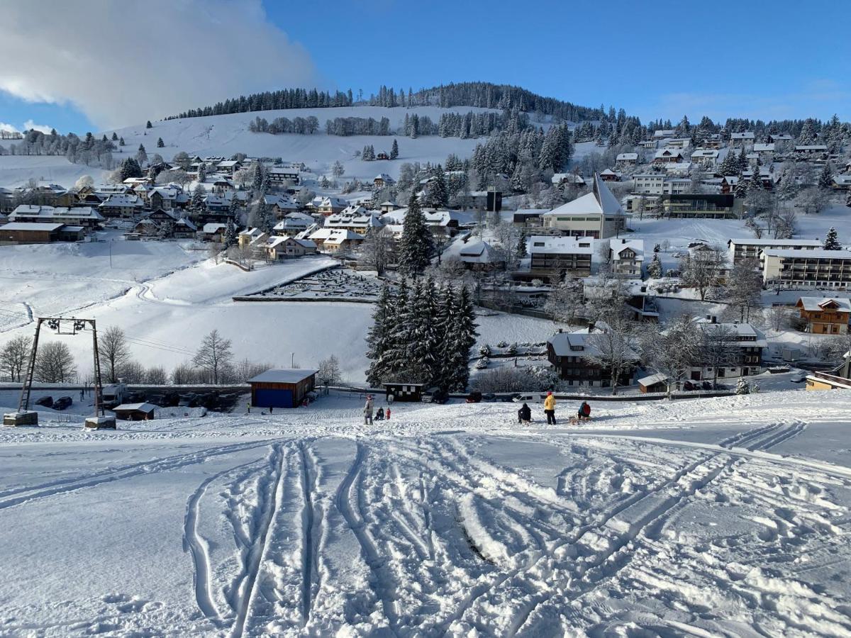 Haus Am Sonnenberg,Todtnauberg, Ferienwohnung 002, Direkt Am Skilift-Skipiste, Naehe Feldberg Екстериор снимка