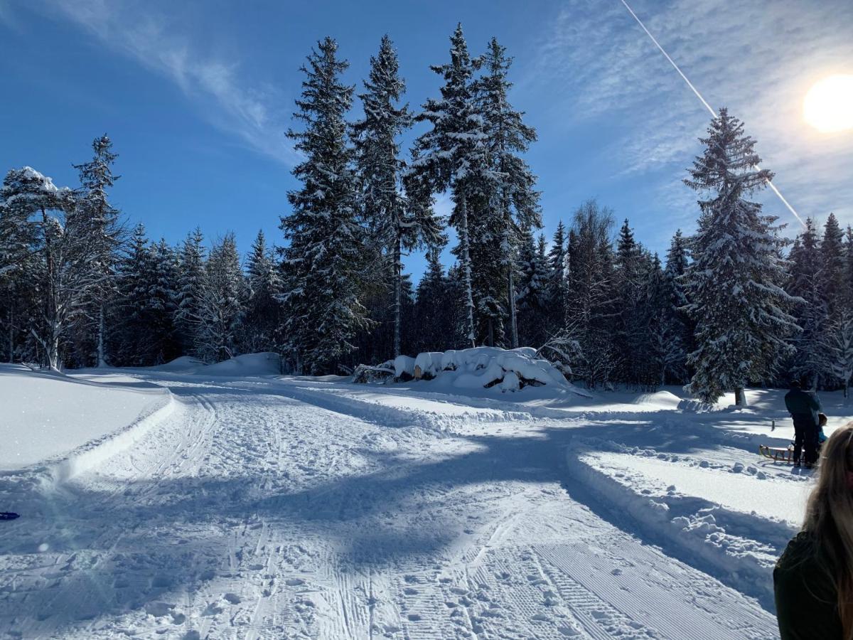 Haus Am Sonnenberg,Todtnauberg, Ferienwohnung 002, Direkt Am Skilift-Skipiste, Naehe Feldberg Екстериор снимка