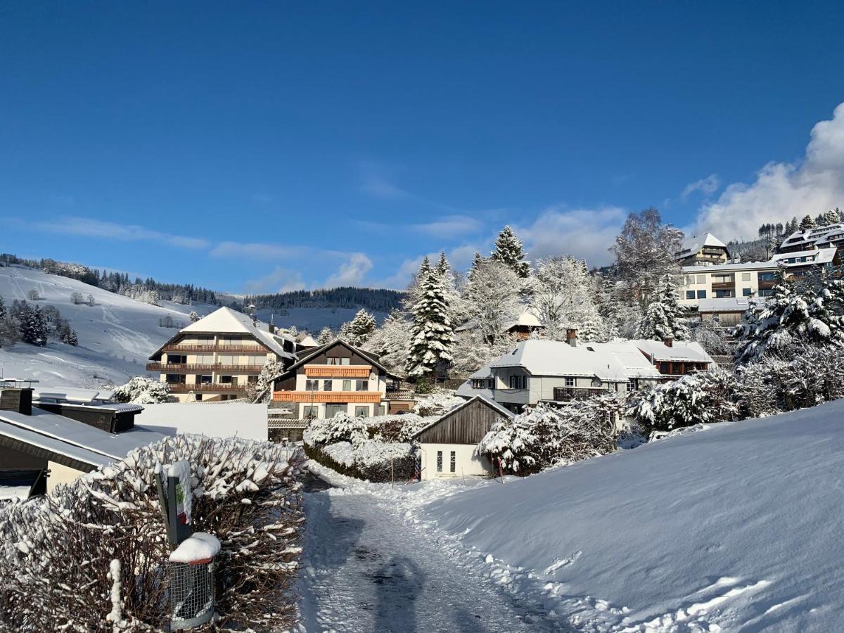 Haus Am Sonnenberg,Todtnauberg, Ferienwohnung 002, Direkt Am Skilift-Skipiste, Naehe Feldberg Екстериор снимка